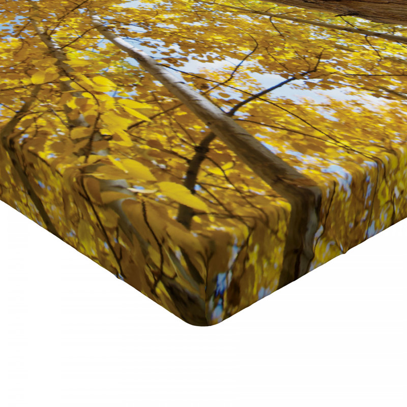 Microfiber Fitted Sheet, Twin Fitted Sheet
