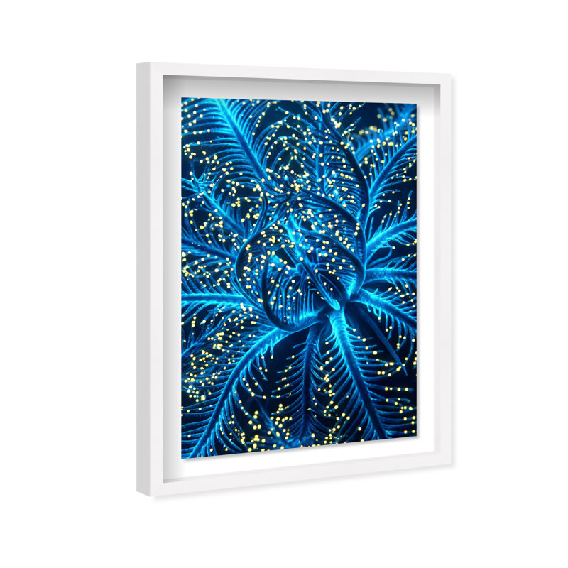 Neon Bloom Print by Oliver Gal, 16.5"H x 11.5"W, White Shadowbox