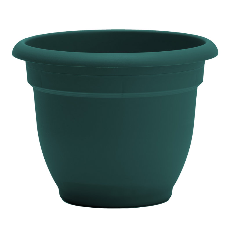 Pot à fleurs intérieur / extérieur Traditional, H 10,25 po x l 13 po x P 13 po, Vert forêt