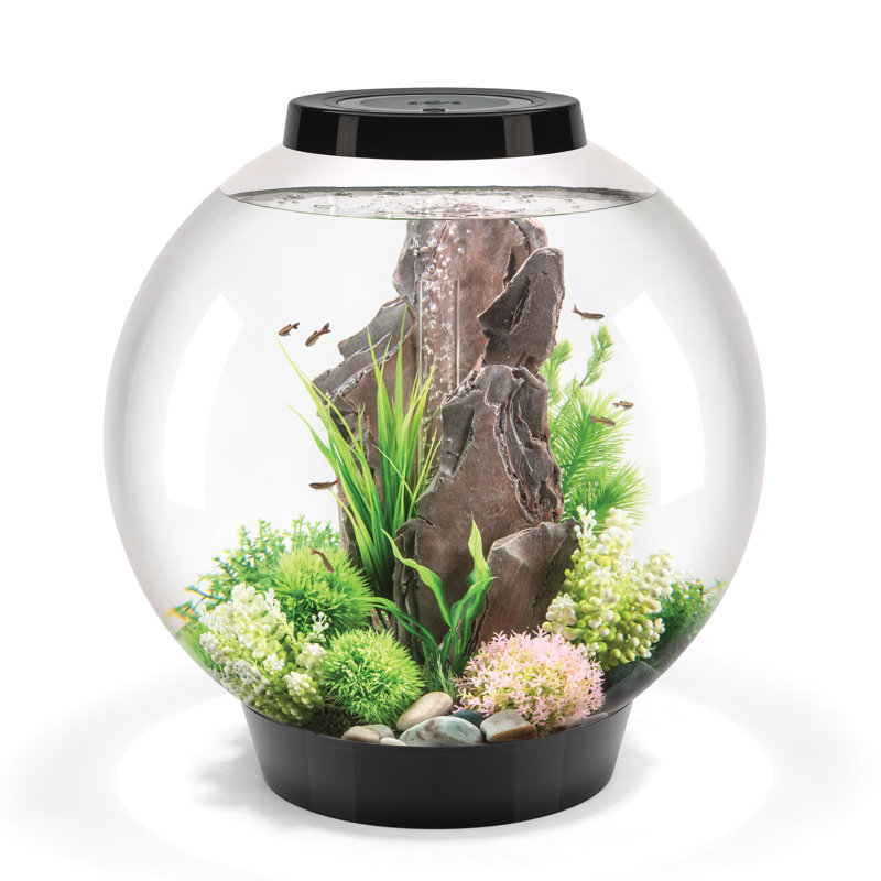 biOrb CLASSIC Aquarium with Standard LED Light, 16 Gallon (20.50"H x 19.75"W x 19.75"D)