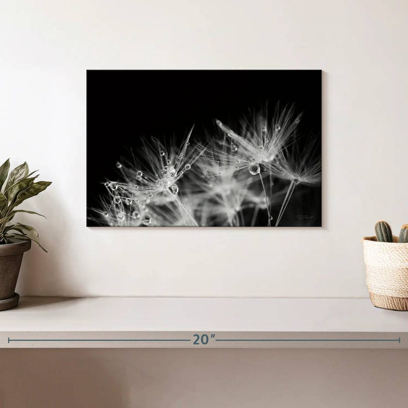 Harnek Dandelion Dewdrops, H 8 po x l 12 po