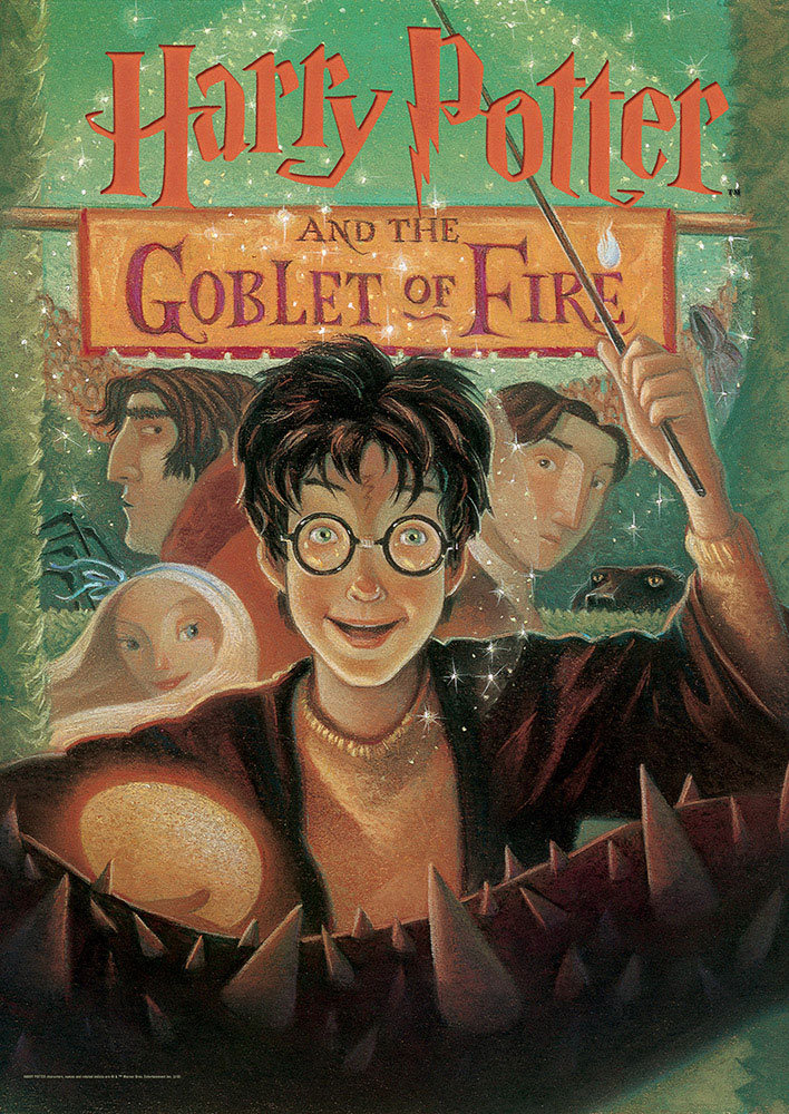 Harry Potter 'Book Cover - Goblet of Fire' MightyPrint Wall Decor MightyPrint