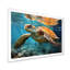 Vie marine contemporaine I-97048184-97048187