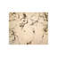 Scribbled Print by Chelsea Art Studio-25707119-25707114