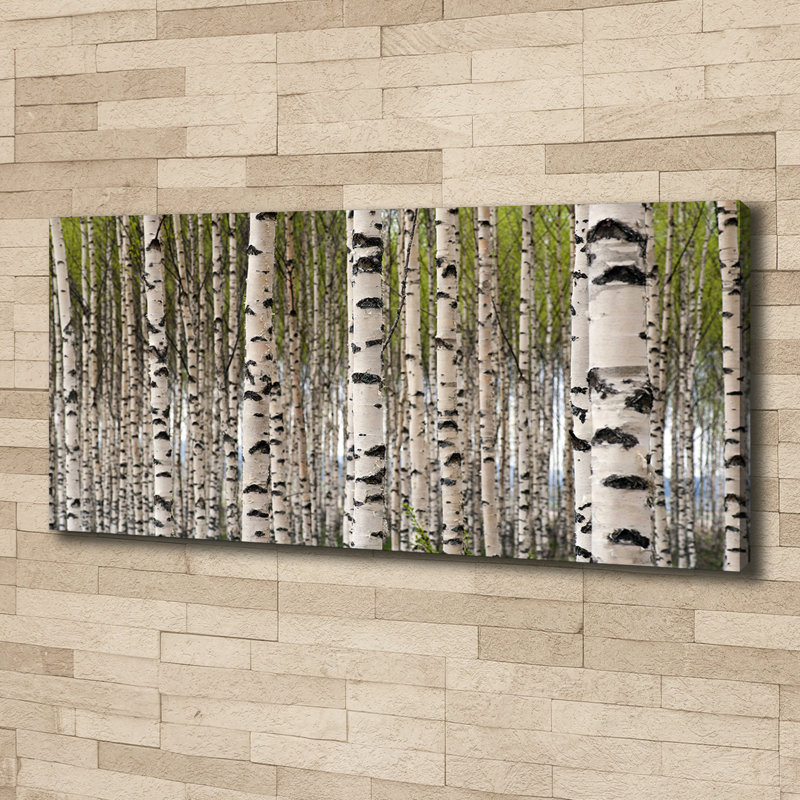Birch Forest - No Frame Print on Canvas