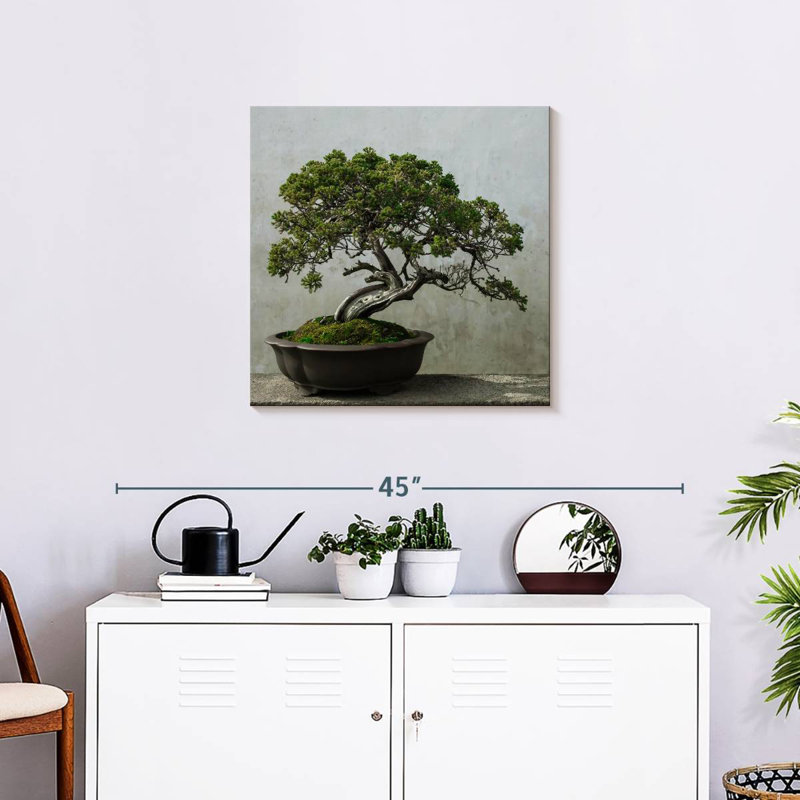 Harnek Pine Tree Bonsai, 24'' H x 24'' W