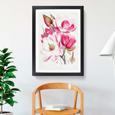 Himalayan Magnolia Flowers by W. H. Fitch - Picture Frame Painting Print