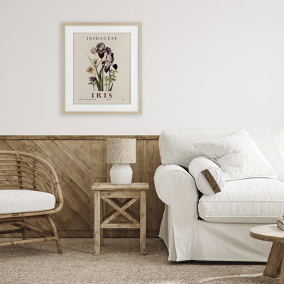 Natural Iris Bundle Framed Print Under Glass, design by Christopher Giampietro
