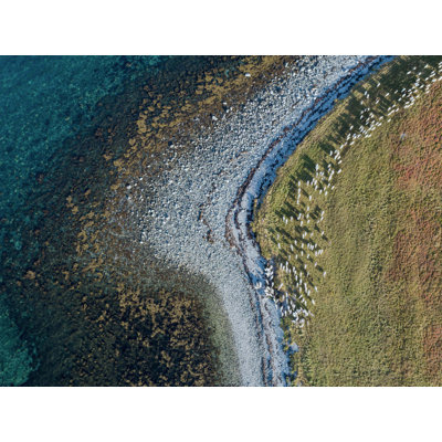 Vue aérienne du rivage 2
