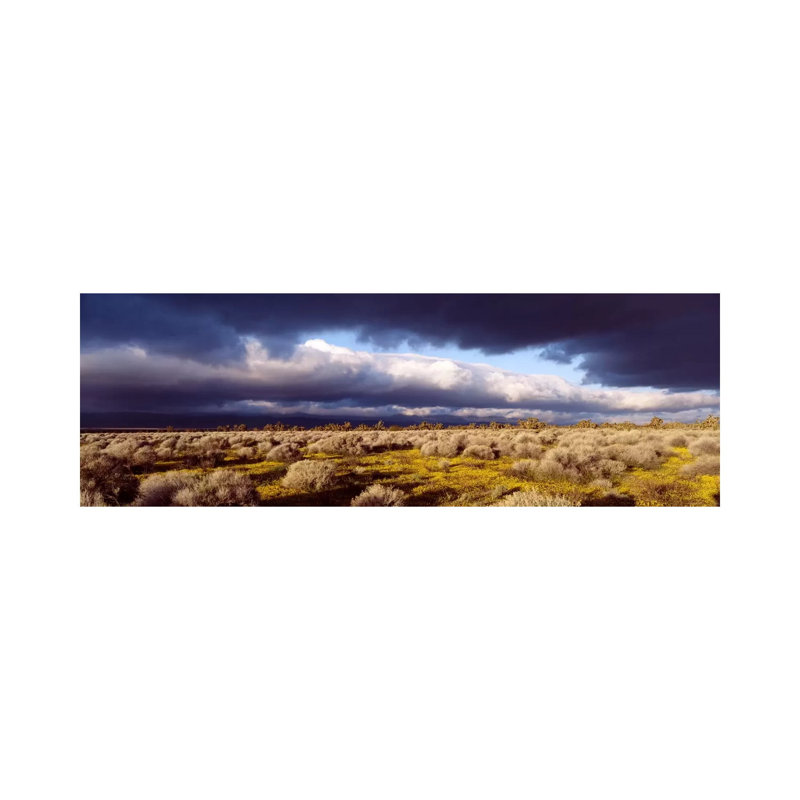 Ominous Sky, Mojave Desert, California, USA - Wrapped Canvas Panoramic Print, 30.48 cm H x 91.44 cm W x 1.91 cm D