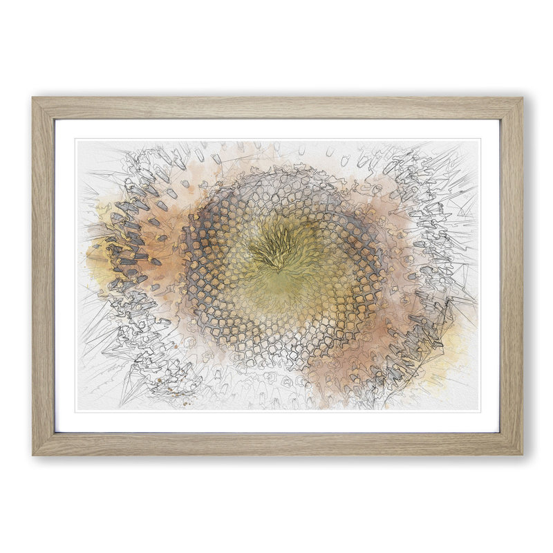 The Eye of a Yellow Sunflower Sketch - Picture Frame Graphic Art Print on MDF, 36cm H x 48cm W x 2cm D, Oak Framed