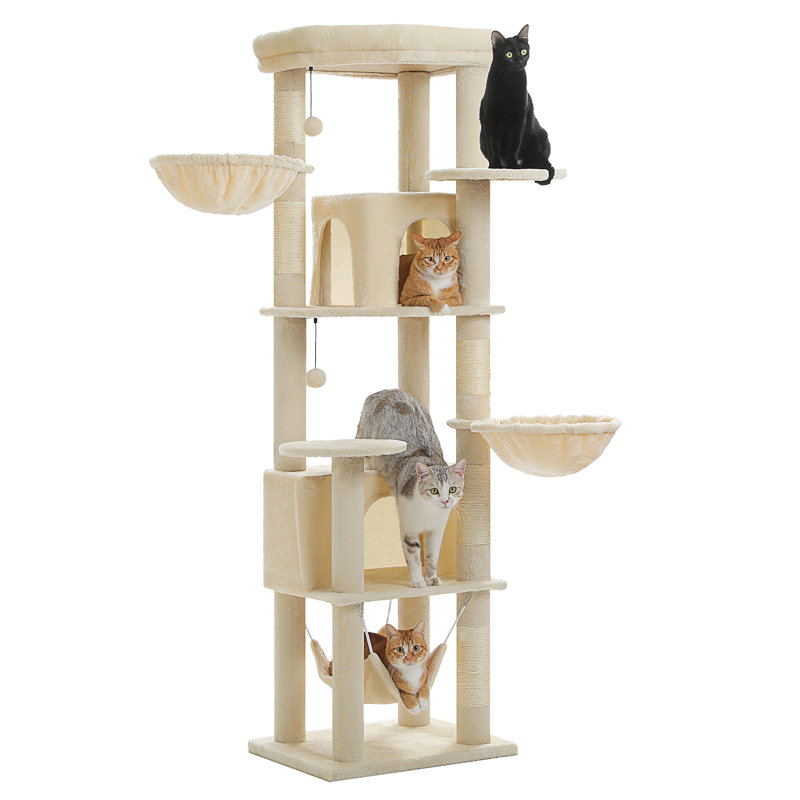 Arbre à chat, Beige
