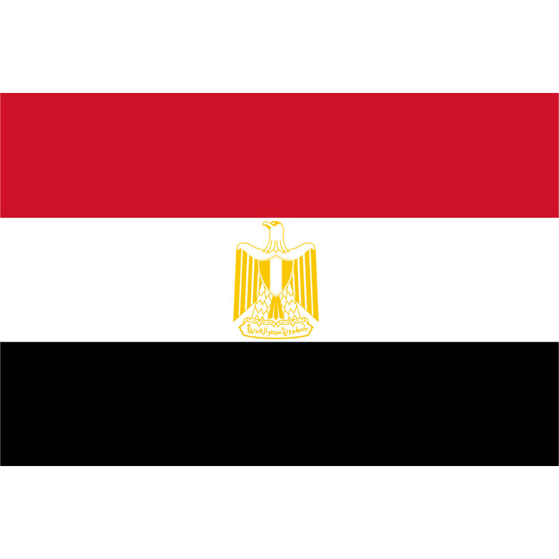 Égypte, H 12 po x l 18 po