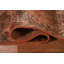 Tapis moderne all-over 4 x 6