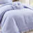 3 - Piece Twin/Twin Xl Bedding With Double Ruffle, Accent, And Soft Microfiber