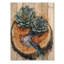 Succulent sur un plateau en bois, rivière II-465716169