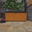 6x2.3w Tiger Wooden Toolchest