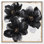 «Enigma Black and Gold III», art floral élégant par Art Remedy