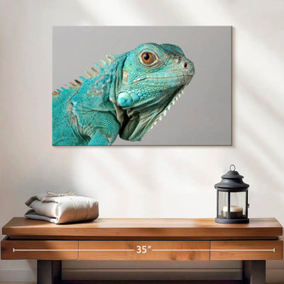 Iguane bleu ronce