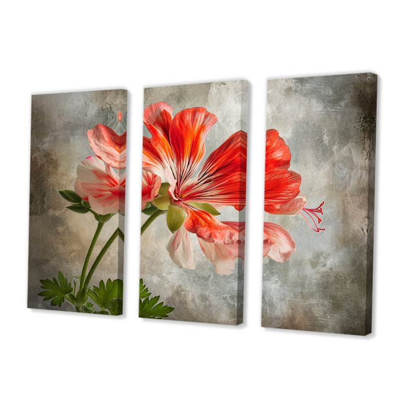 Rosner - Geraniums, ensemble de reproductions d'art mural, H 28 po x l 36 po x P 1 po, Toile tendue