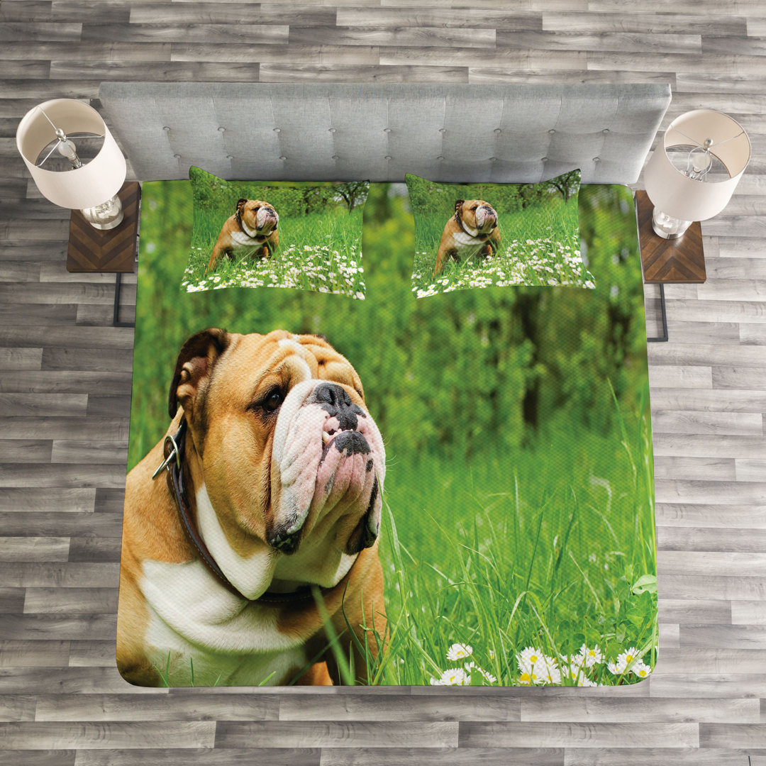 Gestepptes Bettdecken-Set, Blossom Gänseblümchen, Englische Bulldogge, Grün braun Braun Weiß