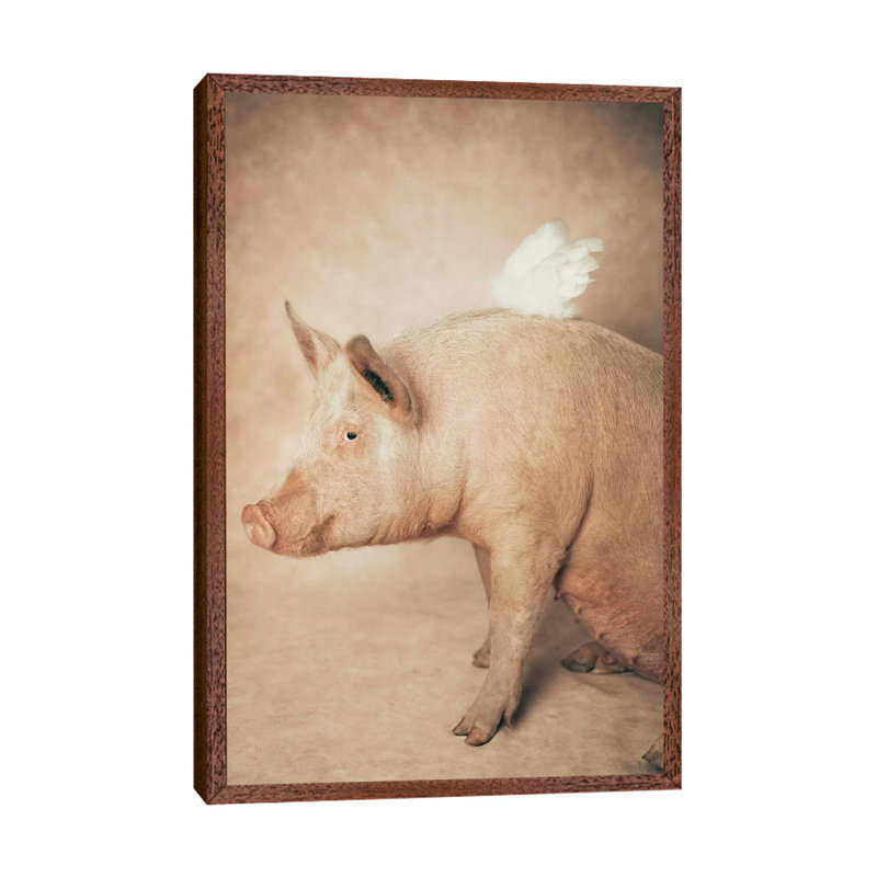 Babe With Wings by Rachael Hale - Print on Canvas, 66.04 cm H x 45.72 cm W, Classic Brown Wood Framed