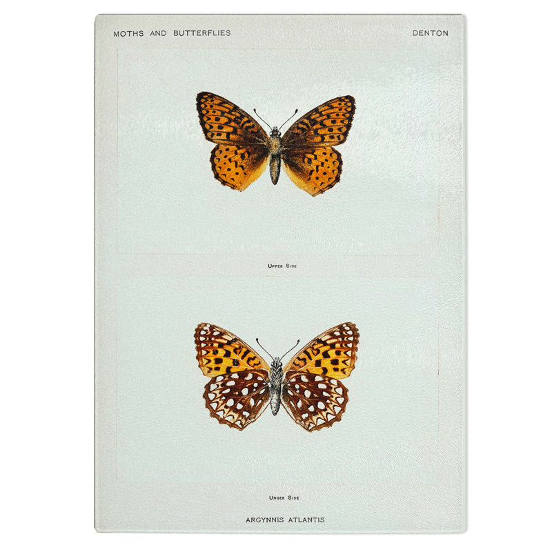 Tempered Glass Atlantis Fritillary Butterfly Chopping Board, 28.5 cm W x 39 cm L