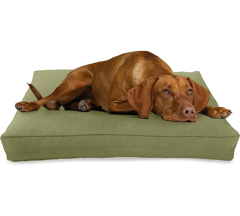 Lit pour chien Premium Premium, Très très petit, Cactus