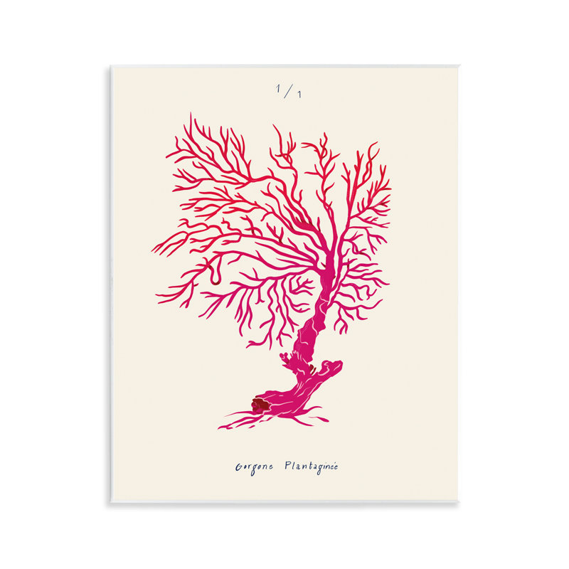  «Sea Fauna Coral» par Marina Astudillo