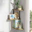 Radegund 3 Piece Solid Wood Floating Shelf