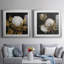 Cotton Balls I - Cadre photo-1492861062-1492861061-1492861057