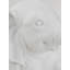 Adelia Resin Novelty Lamp