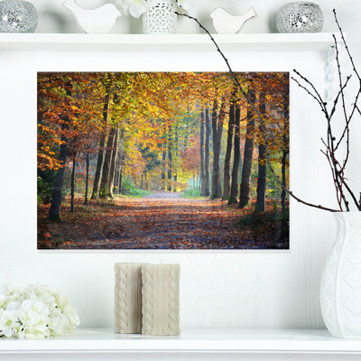 Large sentier dans la forêt d'automne jaune - reproduction de photo