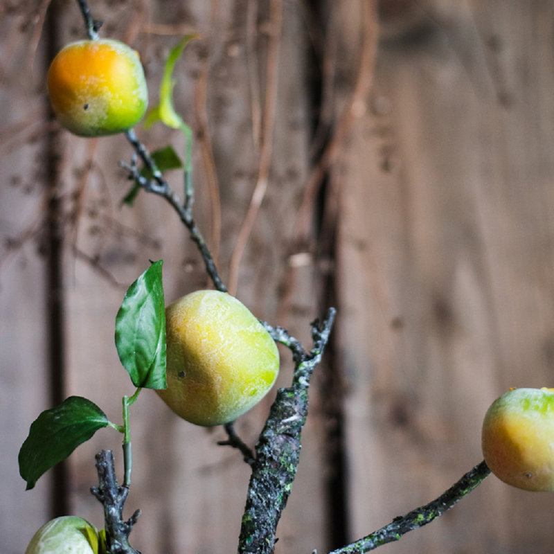 Persimmon Arrangement, One Stem