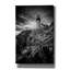 'October Morning At West Quoddy Head Monochrome' by Rick Berk Canvas Wall Art, 18" x 26"-109180789