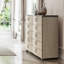 Fantosini 10-Drawer Mule Chest - Silver Mist