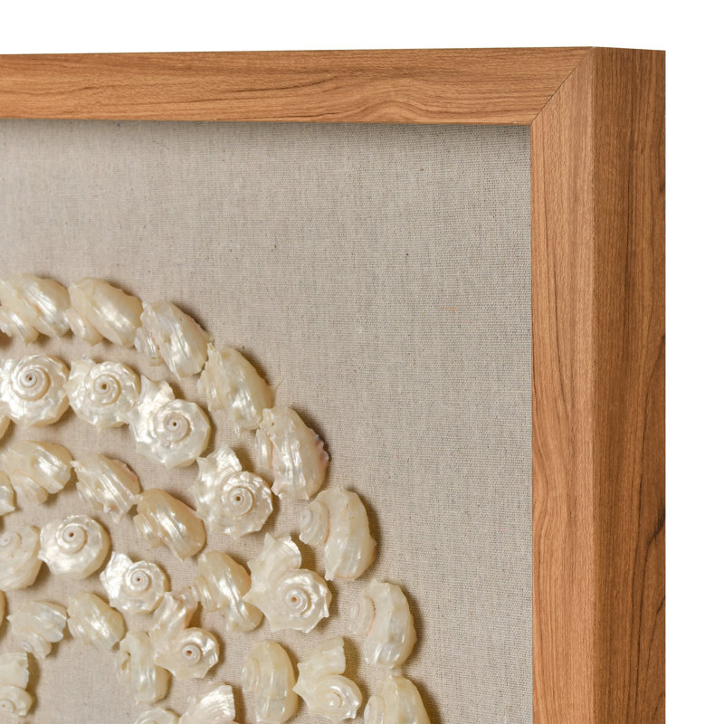 Concentric Shell Dimensional Wall Art