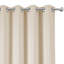 Crisfield Eyelet Blackout Thermal Curtains-1772764596-1772764556