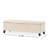 Modern Upholstered Storage Bench-1609648737