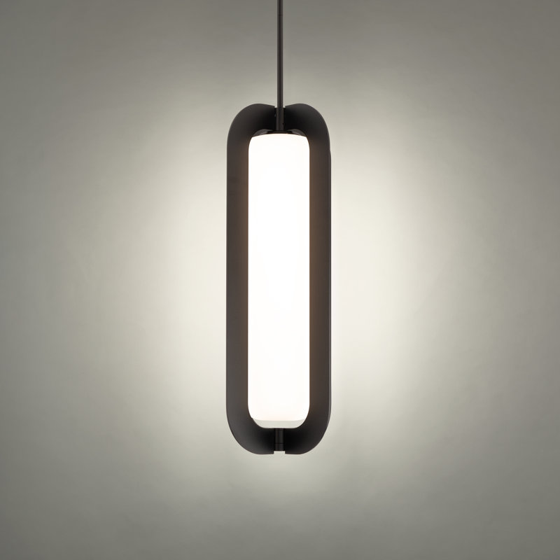 Black Glass LED Indoor/Outdoor Pendant Light