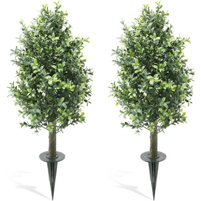 Plant