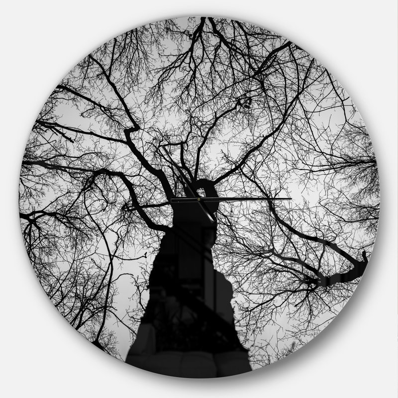 Hoto of Winter Branches - Horloge murale moderne, Grand