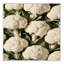 Tapis lavable Ginza-109515901