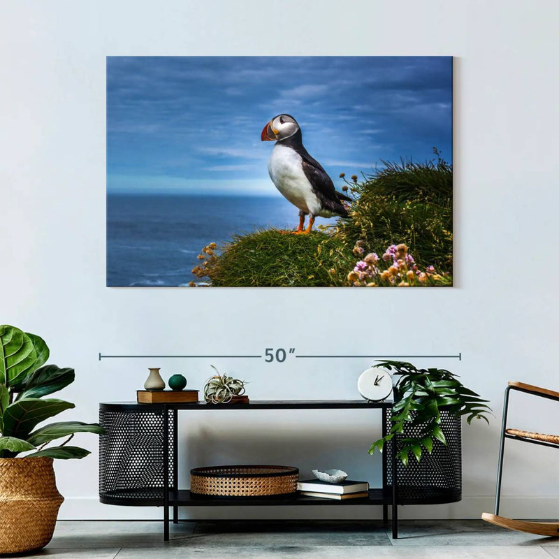 Crowle Latrabjarg Puffin Bird