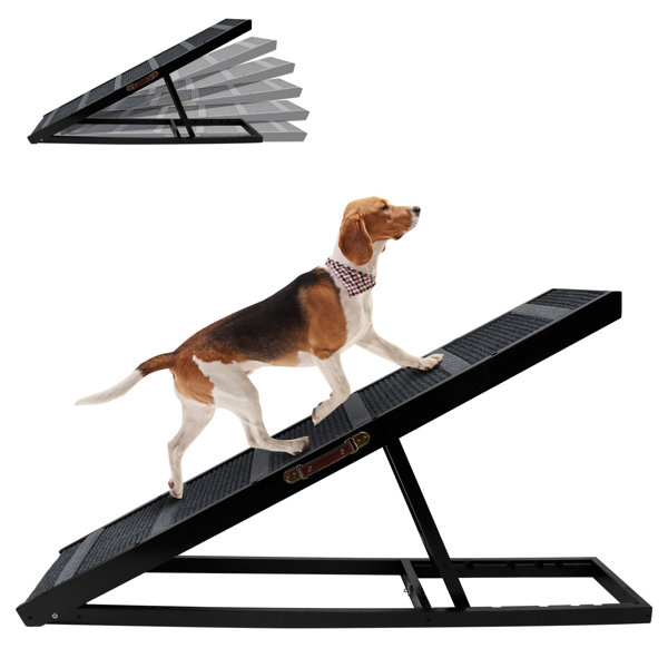  Terrain Dog Training Place Board - 'Made in The USA with a  Lightweight, Durable Aluminum Frame for Long-Lasting Durability - Train  Your Pet Effectively with 24 x 24 Elevated Platform 