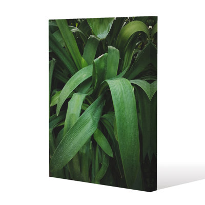 No Title by Andrew Lee - Wrapped Canvas Print