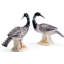 Loon 2 Piece Figurine Set-43005317