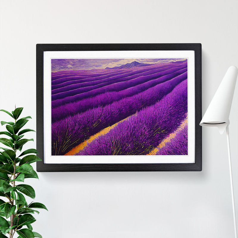 Breathtaking Lavender Flower Field - Single Picture Frame Print, Black Framed, 46cm H x 64cm W x 2cm D