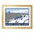 Oak Wood Frame selected