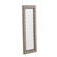 Drennen Flat Plastic Framed Full Length Mirror in Gold